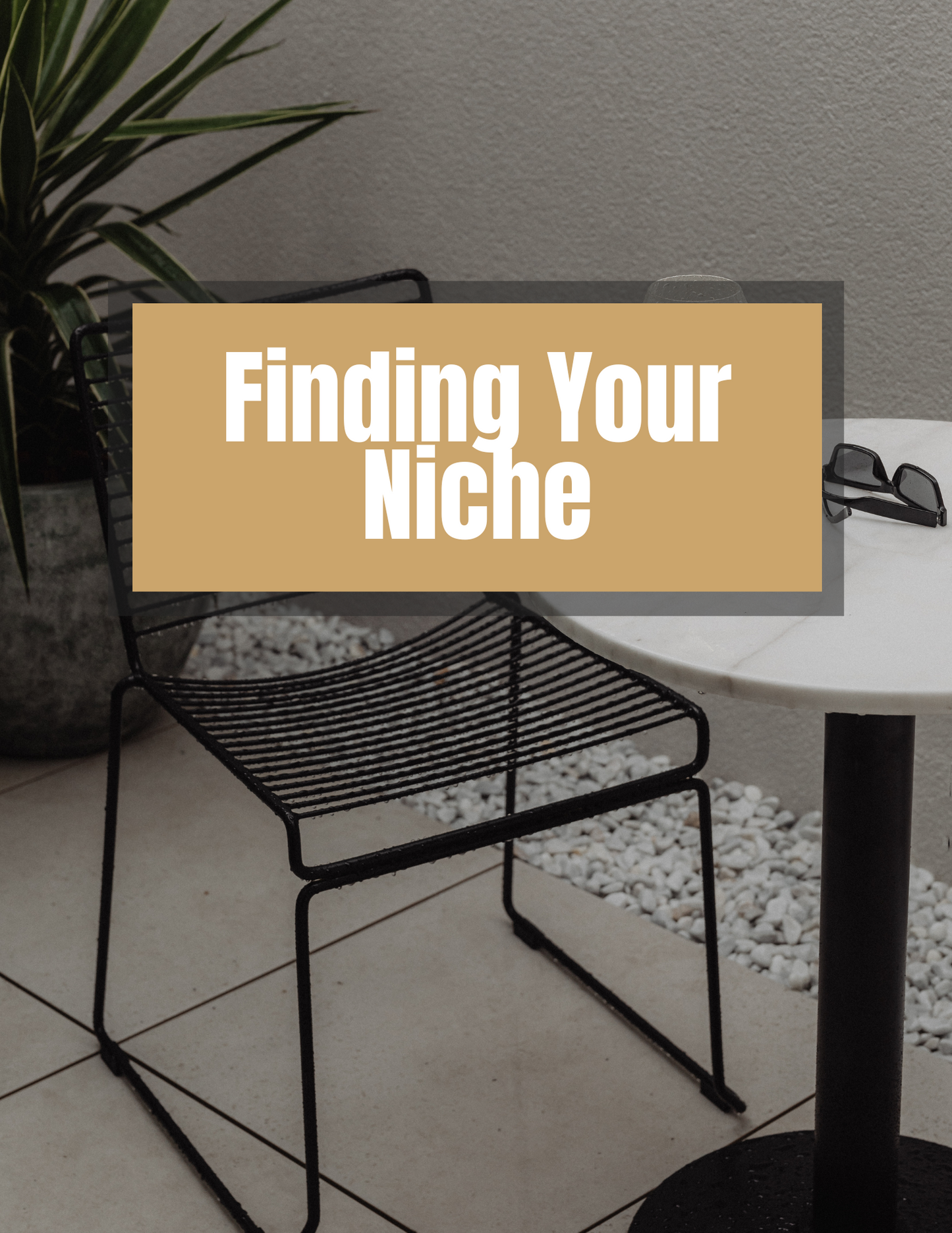 Finding Your Niche