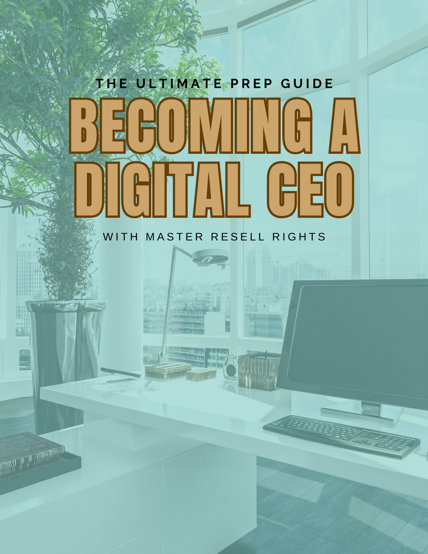 Becoming a Digital CEO